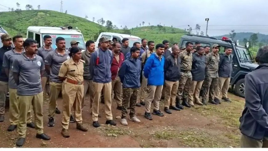 ജനവാസ മേഖലയിൽ കാട്ടാനക്കൂട്ടം; പട്രോളിങ് ശക്തമാക്കി വനംവകുപ്പ്