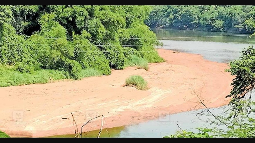 തൊടുപുഴ ആറിലും മലങ്കരയിലും അടിഞ്ഞുകൂടിയ മണലും ചെളിയും; ശാസ്ത്രീയ പഠനം വേണമെന്ന് ആവശ്യം