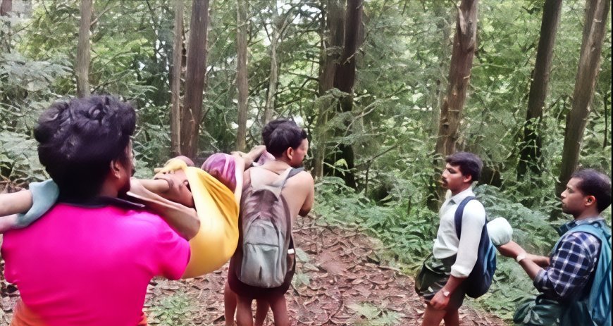 റോഡില്ല; ഇടമലക്കുടിയിൽ ഇന്നും രോഗികൾക്ക് കാട്ടുവഴിയിലൂടെ ദുരിതയാത്ര