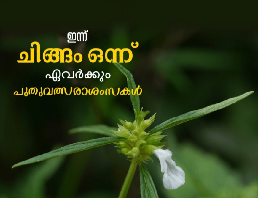 ചിങ്ങപ്പുലരി: മണ്ണിനും മനുഷ്യനും പുതുവർഷത്തിന്റെ പ്രതീക്ഷ