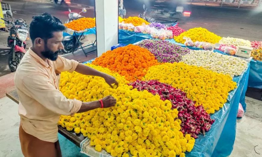 പൂക്കളത്തിന് ‘പൊന്നുംവില’; ഓണക്കാലത്ത് പൂക്കളുടെ വില കുതിക്കുന്നു