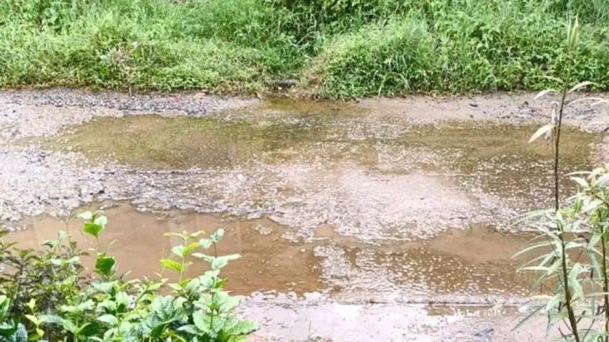 ലോണ്ടറിയിൽ ഗുരുതര ക്രമക്കേട്; മലിനജലം കുളത്തിലേക്കും തോട്ടിലേക്കും ഒഴുക്കിയതായി കണ്ടെത്തൽ