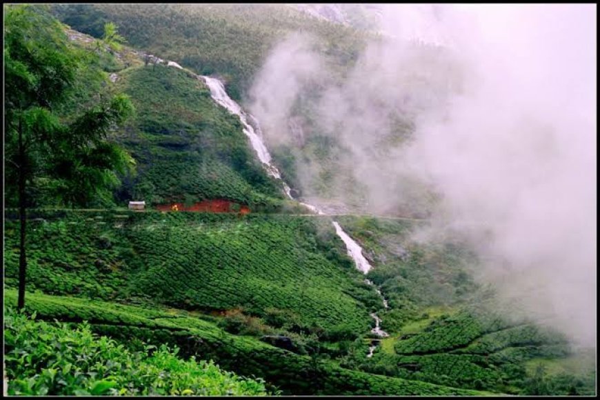 പശ്ചിമഘട്ട ഇഎസ്‌എ പ്രതിസന്ധി അടിയന്തരമായി പരിഹരിക്കണം: ഇടുക്കി രൂപത