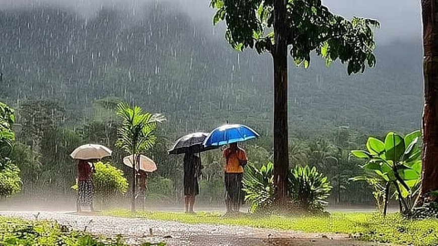 തിരുവോണം മഴയിൽ കുതിരുമോ?; ഇന്നും മഴ തുടരും, ആറ് ജില്ലകളിൽ യെല്ലോ അലർട്ട്