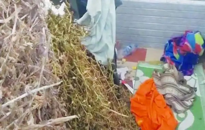പാതിവഴിയിൽ നിലച്ച ടോയ്‌ലറ്റ് കോംപ്ലക്‌സിനുള്ളിൽ ഏലത്തിൻ്റെ ശരങ്ങൾ; മോഷണമെന്ന സംശയം