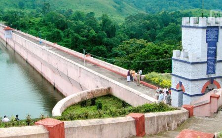 മുല്ലപ്പെരിയാറിൽ സമഗ്ര സുരക്ഷാ പരിശോധന ഇന്ന് മുതൽ