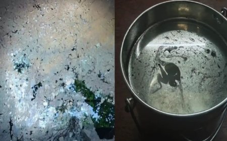 പെട്രോൾ പമ്പിൽ നിന്ന് മലിന ഇന്ധനം ഒഴുക്കിയ സംഭവം; തെങ്ങനത്ത് ആറോളം കുടുംബങ്ങൾ ദുരിതത്തിൽ