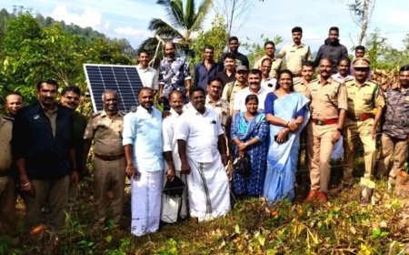 കാട്ടാന ശല്യത്തിന് താൽക്കാലിക പരിഹാരം; രാജമുടിയിൽ ജനകീയ ഫെൻസിങ് പൂർത്തിയായി
