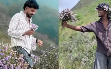 നീലക്കുറിഞ്ഞി പൂക്കൾ പറിച്ച് ഫോട്ടോഷൂട്ട്; രണ്ട് യുവാക്കൾക്കെതിരെ വനംവകുപ്പ് കേസ്