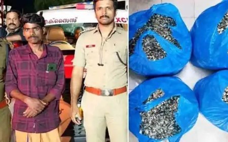 മൂന്നാറിൽ ആദ്യമായി പോപ്പി സ്‌ട്രോ പിടികൂടി; 8.185 കിലോയുമായി ഇടമലക്കുടി സ്വദേശി അറസ്റ്റിൽ