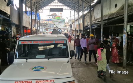 ഒഴിപ്പിച്ച പുകയില കച്ചവടം വീണ്ടും സജീവം; കട്ടപ്പനയിൽ അനധികൃത കച്ചവടം തകൃതി