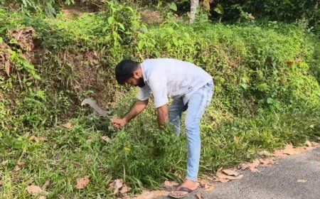 ഉപ്പുകണ്ടത്ത് ശുചീകരണ പ്രവർത്തനവുമായി യൂത്ത് കോൺഗ്രസ്