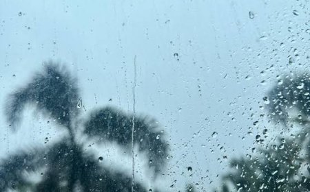 ഹൈറേഞ്ചിൽ മഴയെത്തി; കൊടുംചൂടിന് നേരിയ ആശ്വാസം