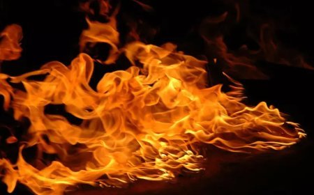 പുലിയന്നൂരിൽ വീട്ടിൽ തീപിടിത്തം; തലനാരിഴയ്ക്ക് ഒഴിവായത് വൻ ദുരന്തം