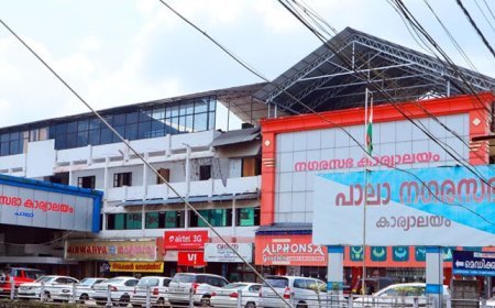 പാലാ നഗരസഭ വൈസ് ചെയർമാൻ തിരഞ്ഞെടുപ്പ്; ബിജു മാത്യൂസിനെ സ്ഥാനാർഥിയാക്കി നഗരവികസന മുന്നണി