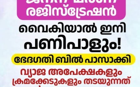 ജനന-മരണ രജിസ്ട്രേഷൻ ഇനി കൂടുതൽ കർശനം; പുതിയ വ്യവസ്ഥകൾ ഒക്ടോബർ 1 മുതൽ