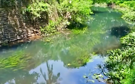 മീനച്ചിലിൽ കടയം തോട്ടിലെ വെള്ളം കറുത്തനിറത്തിൽ; നാട്ടുകാർ ആശങ്കയിൽ