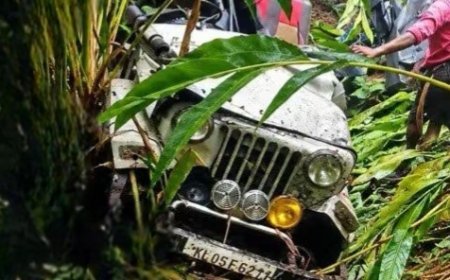 രാജകുമാരിക്ക് സമീപം ജീപ്പ് താഴ്ചയിലേക്ക് മറിഞ്ഞു; 8 തൊഴിലാളികൾക്ക് പരിക്ക്