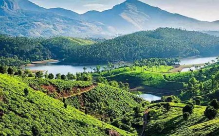 പരിസ്ഥിതി ലോല മേഖല: കരട് വിജ്ഞാപനത്തിനെതിരെ ഇടുക്കിയിൽ പ്രതിഷേധം ശക്തം