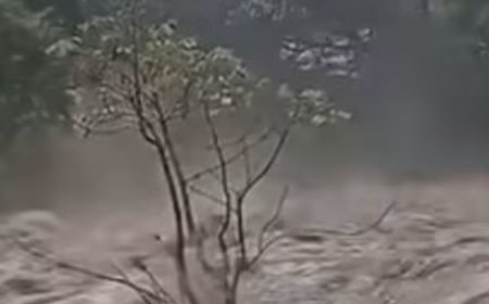 തീക്കോയി–വാഗമൺ മേഖലയിൽ ശക്തമായ മഴ; ഉരുൾപൊട്ടൽ റിപ്പോർട്ട്, ജാഗ്രതാ നിർദേശം