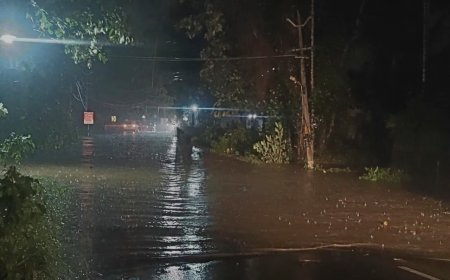 മഴ ; ഈരാറ്റുപേട്ട മേഖലയിൽ ജലനിരപ്പ് ഉയരുന്നു.ജാഗ്രതാ നിർദേശം