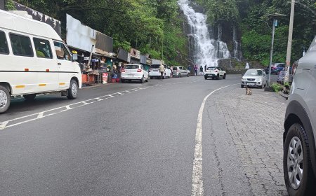 കുട്ടിക്കാനം–മുണ്ടക്കയം റൂട്ടിൽ റോഡിൽ വാഹനത്തിൽ നിന്നും ഓയിൽ ചോർന്നു; ജാഗ്രതാ നിർദേശം
