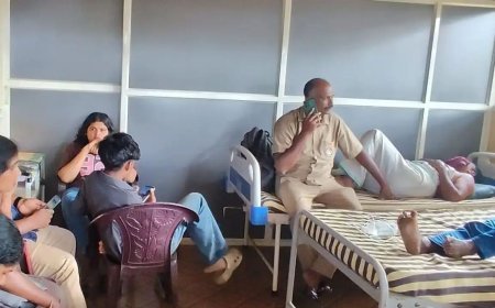 കെഎസ്ആർടിസി ബസിലേക്ക് പെരുന്തേനീച്ചക്കൂട്ടം ഇരച്ചുകയറി; 17 യാത്രക്കാർക്ക് കുത്തേറ്റു