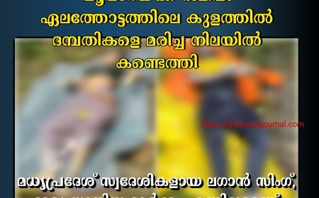 പൂപ്പാറയ്ക്ക് സമീപം ഏലത്തോട്ടത്തിലെ കുളത്തിൽ ദമ്പതികളെ മരിച്ച നിലയിൽ കണ്ടെത്തി