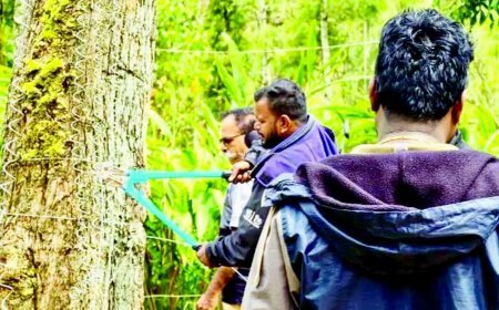 പന്തടിക്കളം ഉന്നതിക്ക് സമീപത്തെ അനധികൃത വൈദ്യുതിവേലികൾ നീക്കി ആനത്താര പുനഃസ്ഥാപിച്ചു