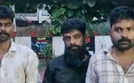 650 കിലോയിലധികം ഒട്ടുപാൽ മോഷ്ടിച്ചു; മൂന്ന് പേർ അറസ്റ്റിൽ