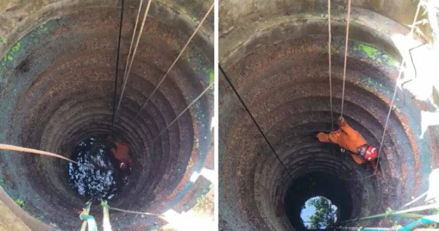 ചിങ്ങവനത്ത് യുവതിയെ കിണറ്റിൽ മരിച്ച നിലയിൽ കണ്ടെത്തി