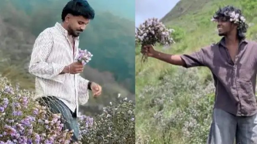നീലക്കുറിഞ്ഞി പൂക്കൾ പറിച്ച് ഫോട്ടോഷൂട്ട്; രണ്ട് യുവാക്കൾക്കെതിരെ വനംവകുപ്പ് കേസ്