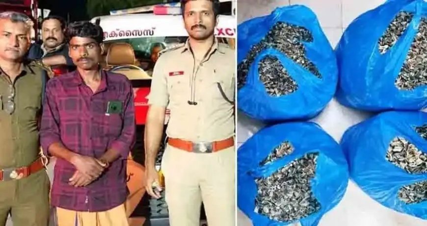 മൂന്നാറിൽ ആദ്യമായി പോപ്പി സ്‌ട്രോ പിടികൂടി; 8.185 കിലോയുമായി ഇടമലക്കുടി സ്വദേശി അറസ്റ്റിൽ