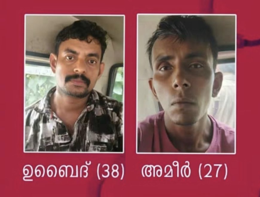 തൊടുപുഴ കോലാനി അമരംകാവ് ദേവീക്ഷേത്രത്തിൽ അതിക്രമിച്ച് കയറി മോഷണം നടത്തിയവർ പോലീസിന്റെ പിടിയിൽ
