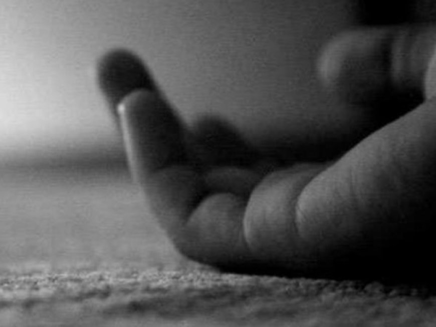 രാസപദാർഥം ഉള്ളിൽചെന്ന് ഒരു വയസുകാരായ ഇരട്ടക്കുഞ്ഞുങ്ങൾ മരിച്ചു