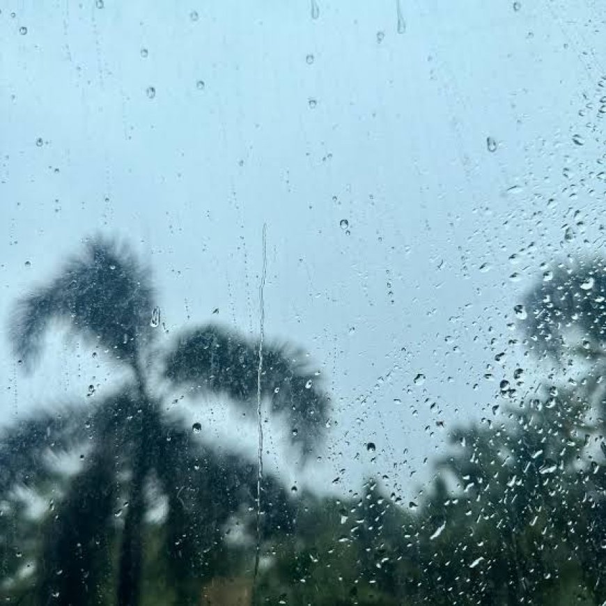 ഹൈറേഞ്ചിൽ മഴയെത്തി; കൊടുംചൂടിന് നേരിയ ആശ്വാസം