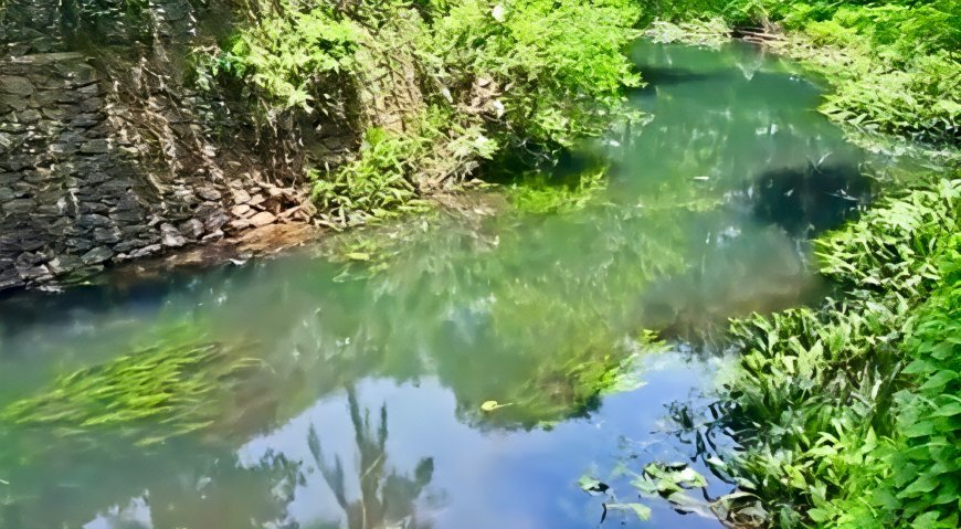 മീനച്ചിലിൽ കടയം തോട്ടിലെ വെള്ളം കറുത്തനിറത്തിൽ; നാട്ടുകാർ ആശങ്കയിൽ