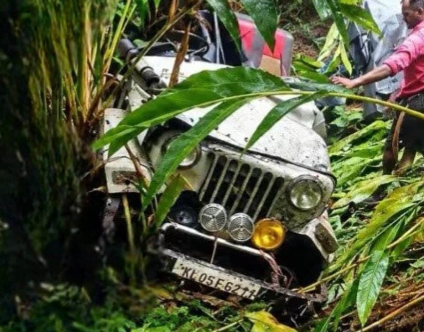 രാജകുമാരിക്ക് സമീപം ജീപ്പ് താഴ്ചയിലേക്ക് മറിഞ്ഞു; 8 തൊഴിലാളികൾക്ക് പരിക്ക്