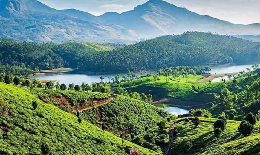 പരിസ്ഥിതി ലോല മേഖല: കരട് വിജ്ഞാപനത്തിനെതിരെ ഇടുക്കിയിൽ പ്രതിഷേധം ശക്തം