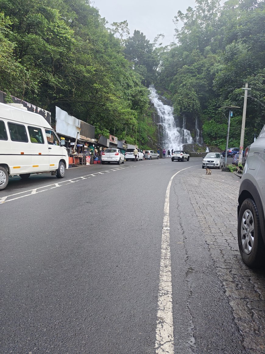 കുട്ടിക്കാനം–മുണ്ടക്കയം റൂട്ടിൽ റോഡിൽ വാഹനത്തിൽ നിന്നും ഓയിൽ ചോർന്നു; ജാഗ്രതാ നിർദേശം