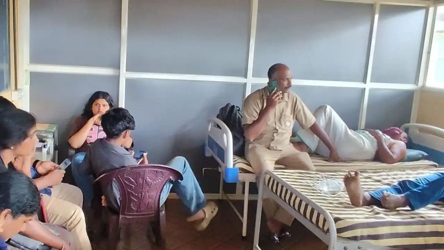 കെഎസ്ആർടിസി ബസിലേക്ക് പെരുന്തേനീച്ചക്കൂട്ടം ഇരച്ചുകയറി; 17 യാത്രക്കാർക്ക് കുത്തേറ്റു
