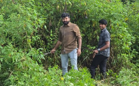 കാഴ്ച മറച്ച പൊന്തക്കാടുകൾ നീക്കി; അപകടസാധ്യത ഒഴിവാക്കി മാതൃകയായി ഇരട്ടയാർ ഗ്രാമപഞ്ചായത്ത് അംഗത്തിൻ്റെ ഇടപെടൽ