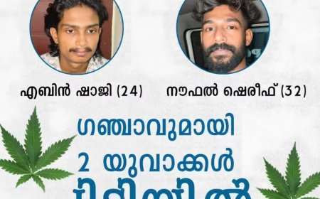 കഞ്ചാവുമായി രണ്ട് യുവാക്കൾ തൊടുപുഴയിൽ പിടിയിൽ