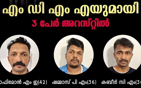 1.6 ഗ്രാം എം.ഡി.എം.എയുമായി മൂന്ന് പേർ കാളിയാർ പോലീസിന്റെ പിടിയിൽ