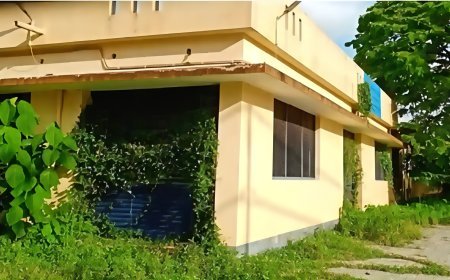 കോടികൾ മുടക്കി നിർമിച്ച കോടിമത മത്സ്യമാർക്കറ്റ് കാടുകയറി നശിക്കുന്നു