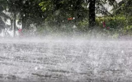 സംസ്ഥാനത്ത് ശക്തമായ മഴയ്ക്കും ഇടിമിന്നലിനും സാധ്യത; നാല് ജില്ലകളിൽ യെല്ലോ അലർട്ട്