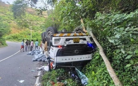 വണ്ടിപ്പെരിയാറിൽ ലോറി നിയന്ത്രണം വിട്ട് തലകീഴായി മറിഞ്ഞു