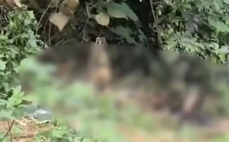 പാമ്പള ഡാമിന് സമീപം കത്തിക്കരിഞ്ഞ നിലയിൽ കണ്ടെത്തിയ മൃതദേഹം; 18കാരിയെ കൊലപ്പെടുത്തിയതെന്ന് പൊലീസ്