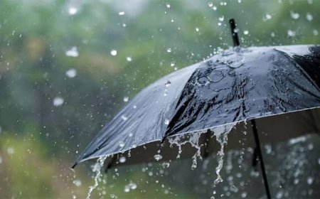 സംസ്ഥാനത്ത് തുലാവർഷം ശക്തമാകുന്നു; നാല് ദിവസം ശക്തമായ മഴയ്ക്ക് സാധ്യത
