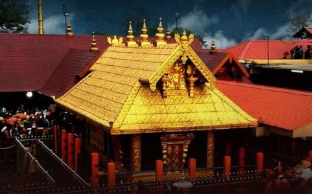 ശബരിമല തീർഥാടനം: മുന്നൊരുക്കങ്ങൾ സമയബന്ധിതമായി പൂർത്തിയാക്കണം; വകുപ്പുകൾക്ക് നിർദേശവുമായി മുഖ്യമന്ത്രി
